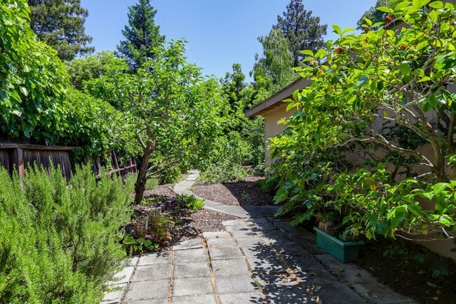 Building Photo - 4 Bed / 2 Bath Welcoming Midtown Palo Alto...