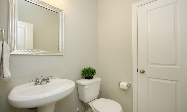 Building Photo - 177 Emory Birch