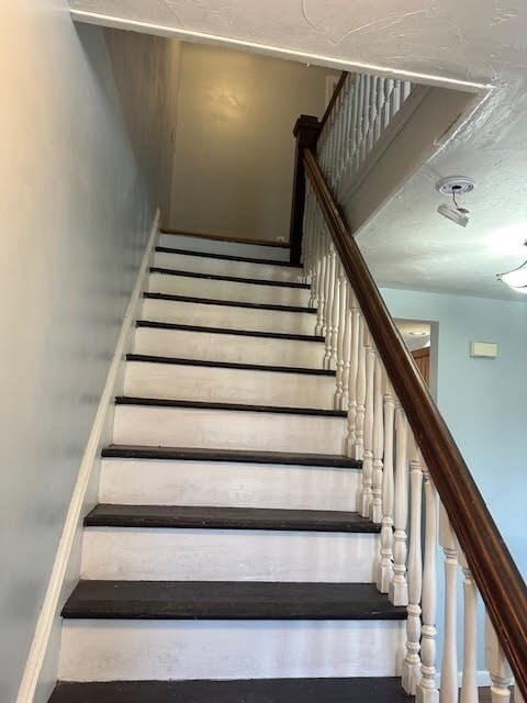 Building Photo - 633 Plantation St