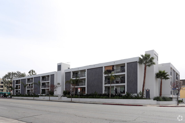 Primary Photo - Miracle Mile Terrace Apartments