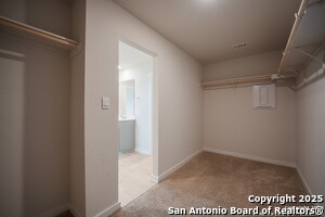 Building Photo - 125 Nicks Cv