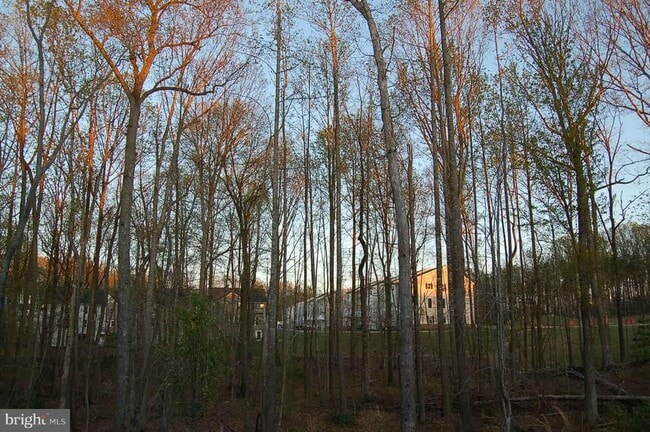 Building Photo - 12699 Lakeside Ct