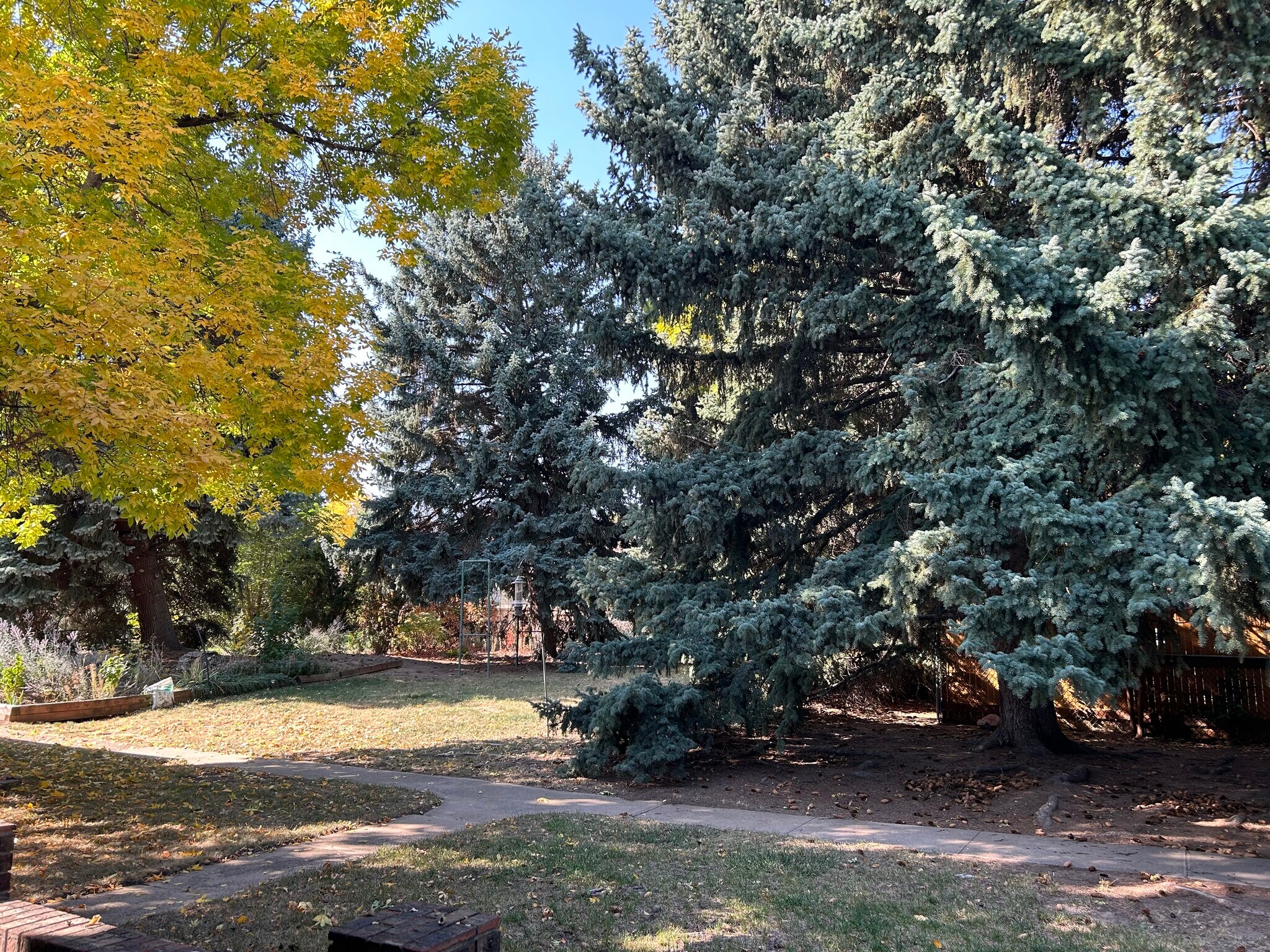 Large fenced in backyard - 435 E Drake Rd