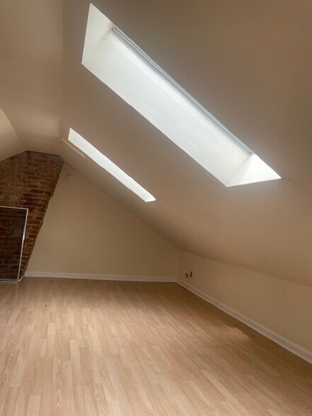 skylights - 371 Washington Ave