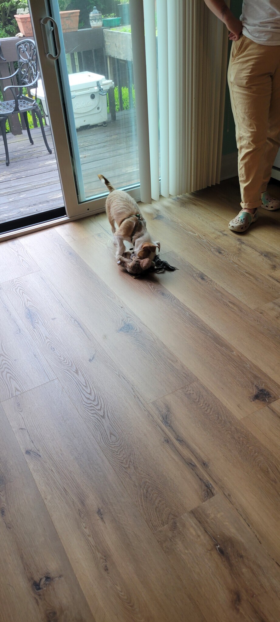 New kitchen fllooring - 69 Cypress St