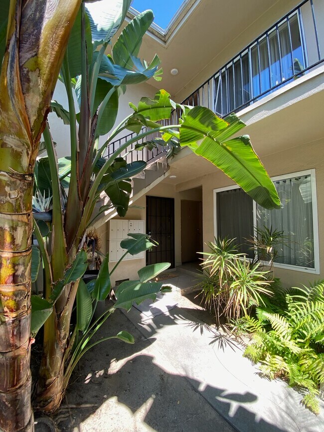 COURTYARD - 3545 Jasmine Ave