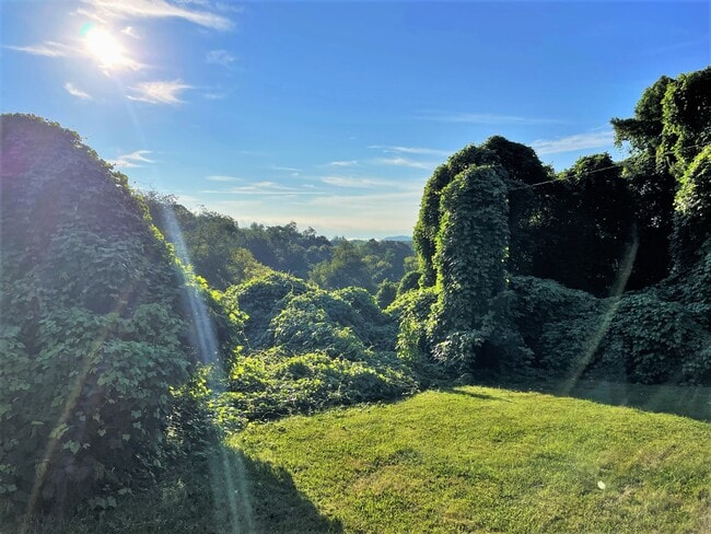 Building Photo - 3210 Landview Dr