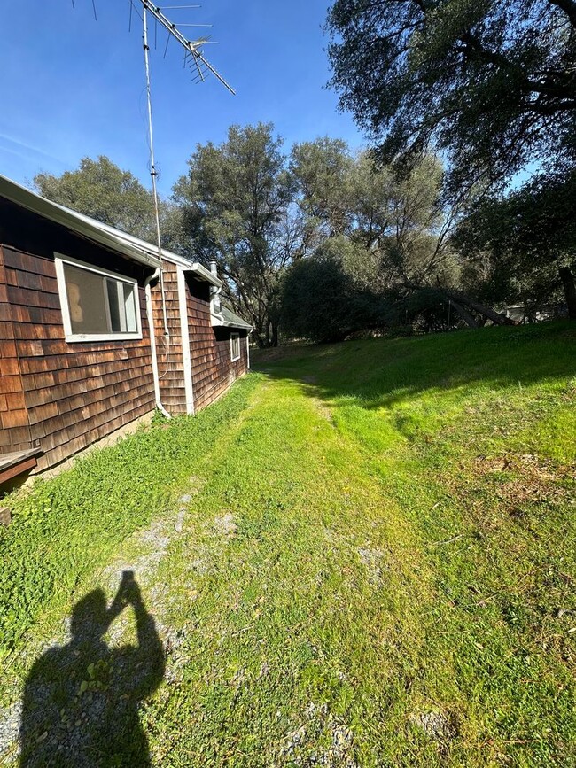 Building Photo - Beautiful home with lots of Land in Grass ...