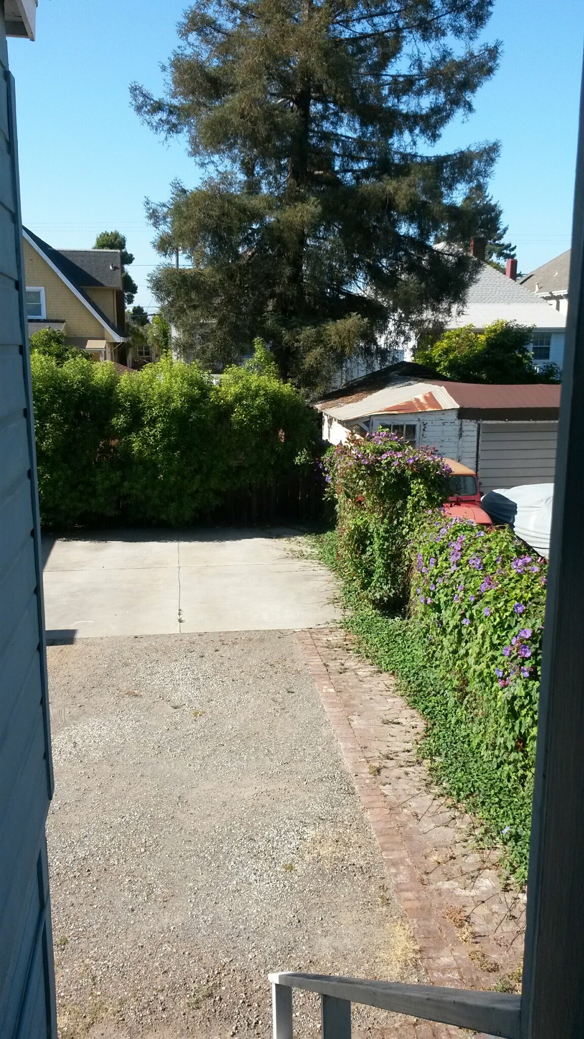 Building Photo - 611 Santa Clara Ave