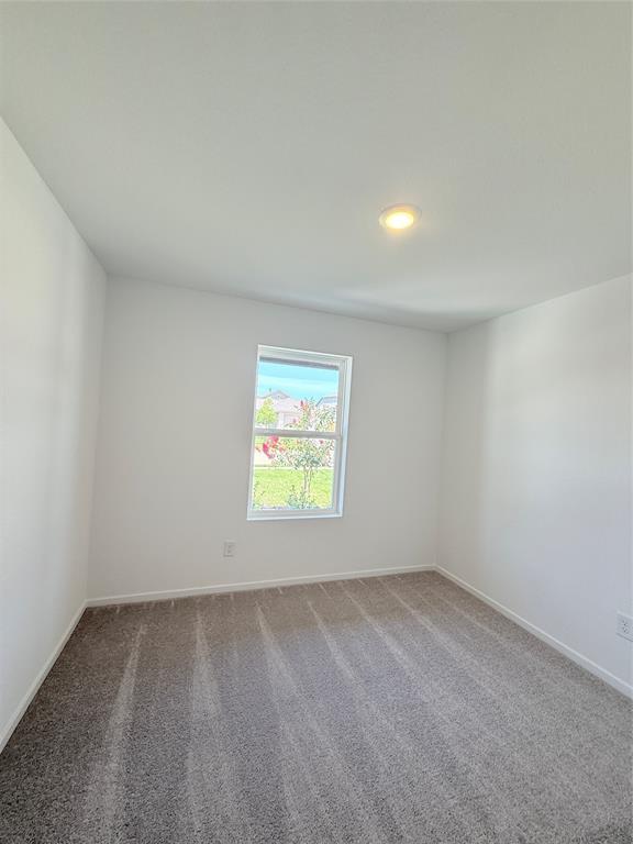 Building Photo - 29035 Great Flatland Trl