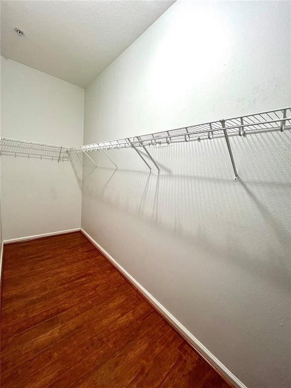 Building Photo - 809 Harbor Oak Ln