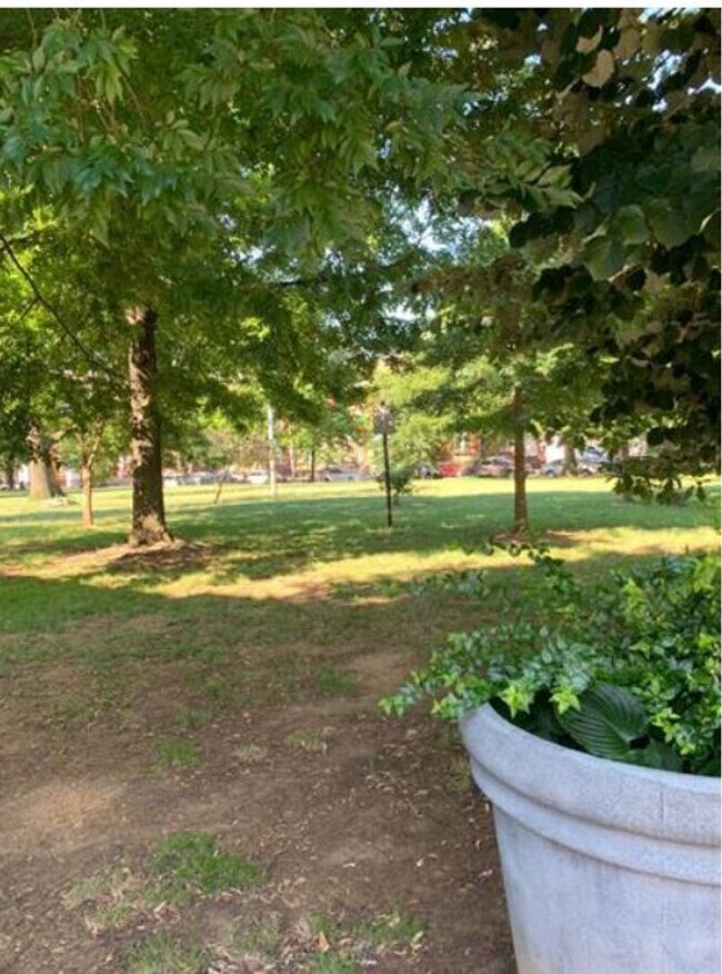 Building Photo - Cozy 2BR/1Bath on lovely quiet block, community garden, Calvert Street park!