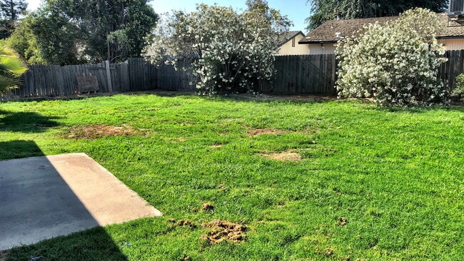 Building Photo - 1715 E Mary Ave