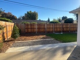 Backyard - 1168 West Cir