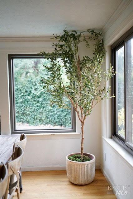 Building Photo - 2925 Carissa Ct