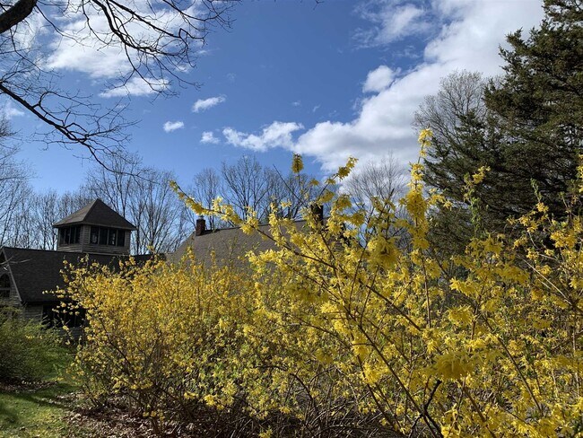 Building Photo - 74 Hilltop Rd