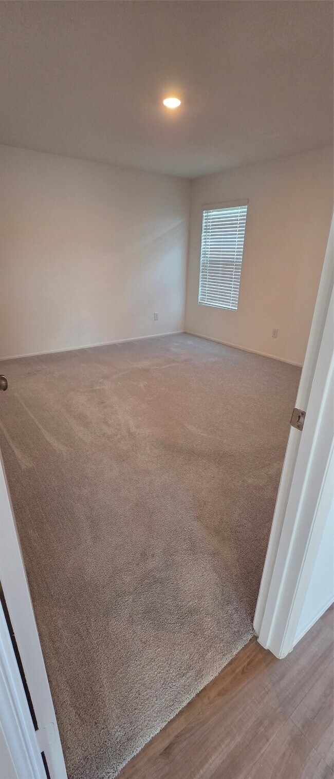 Building Photo - 4155 Brazos Brk Trl
