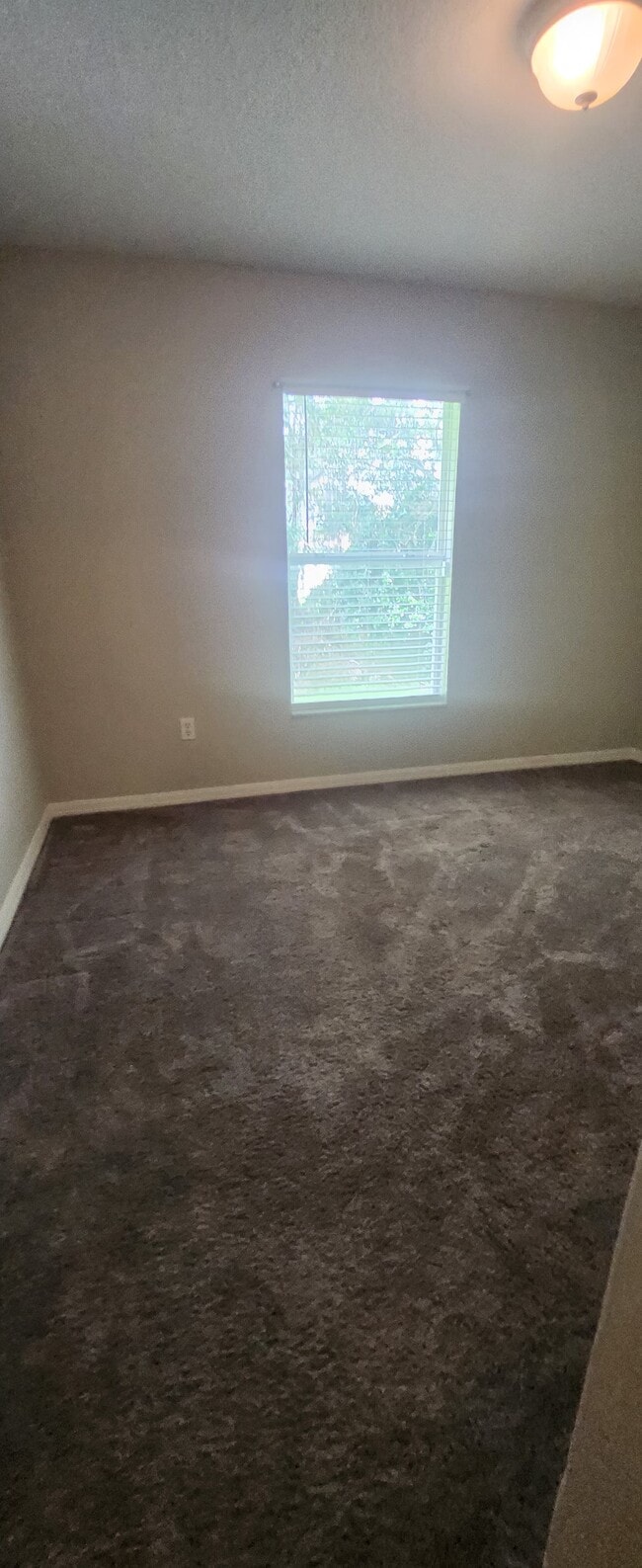 2nd Bedroom - 6739 Bluff Meadow Ct