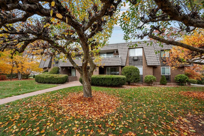 Building Photo - 60 Rambling Brook Ln