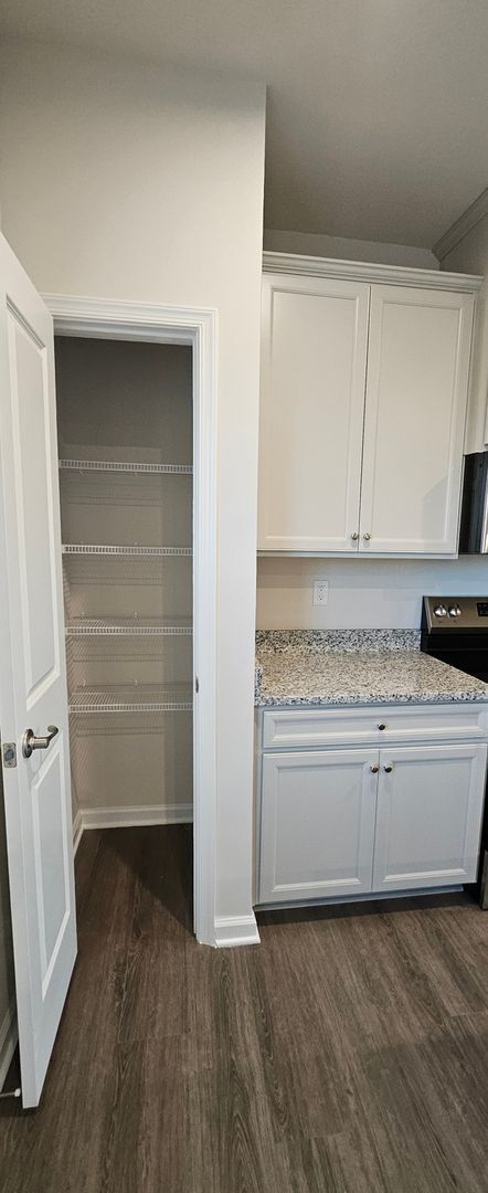 Building Photo - Brand new 3BR Townhome in Charlotte