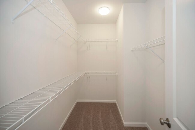 Building Photo - Close to everything!  Skyline at Embrey Mill!  Brand New Live and Work Townhomes.