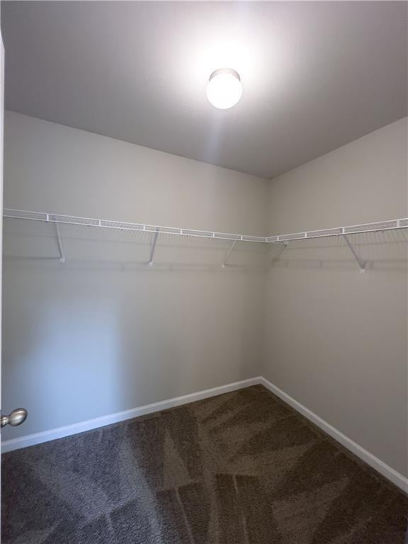 Building Photo - 2794 Shetley Creek Dr