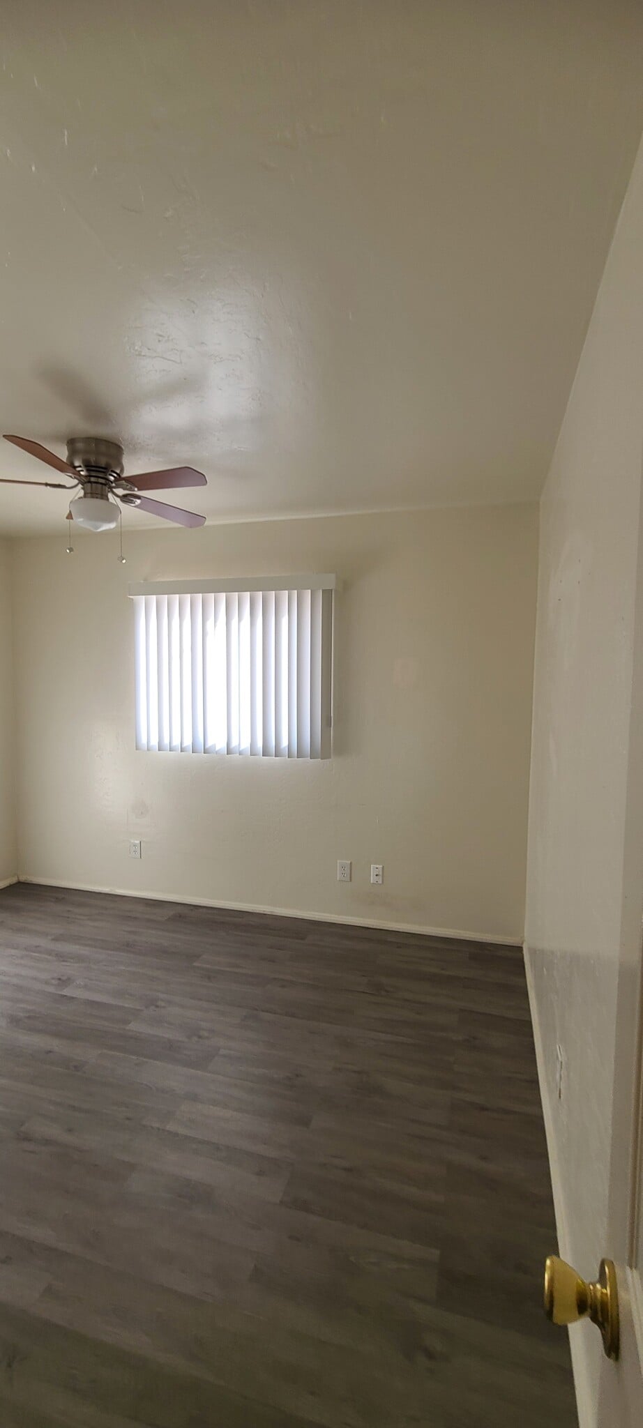 Building Photo - 1535 E 29th Ave