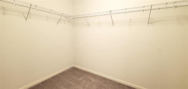 Building Photo - 1314 Shumard Dr