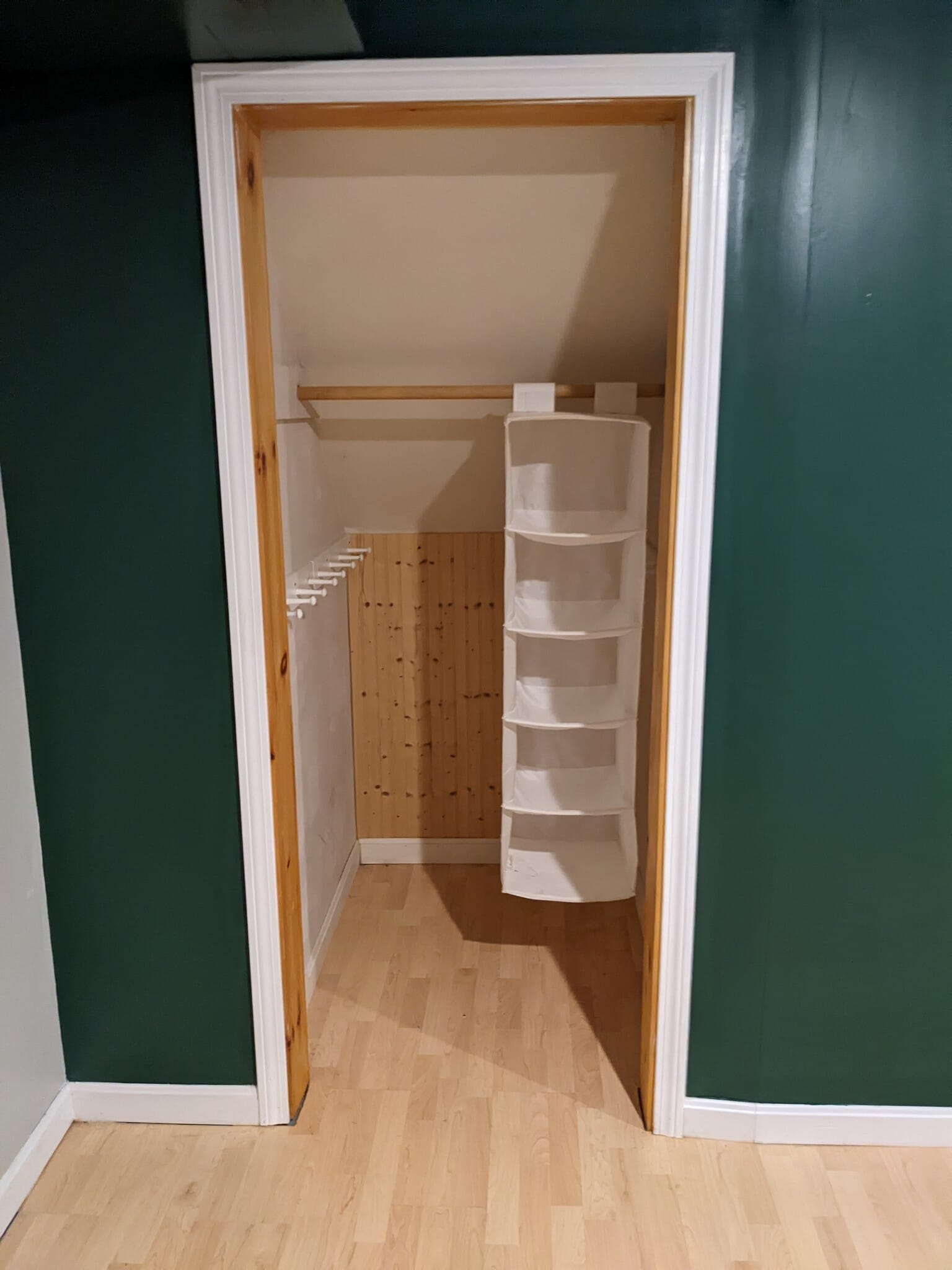 Basement closet - 1 Chloe Dr