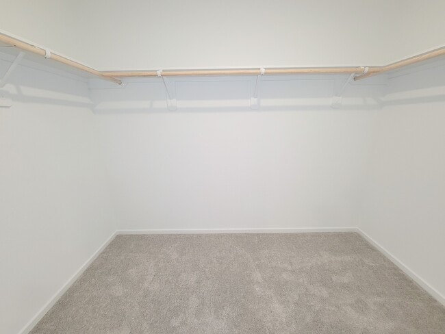 Building Photo - 1519 Gardenia Grv Ln