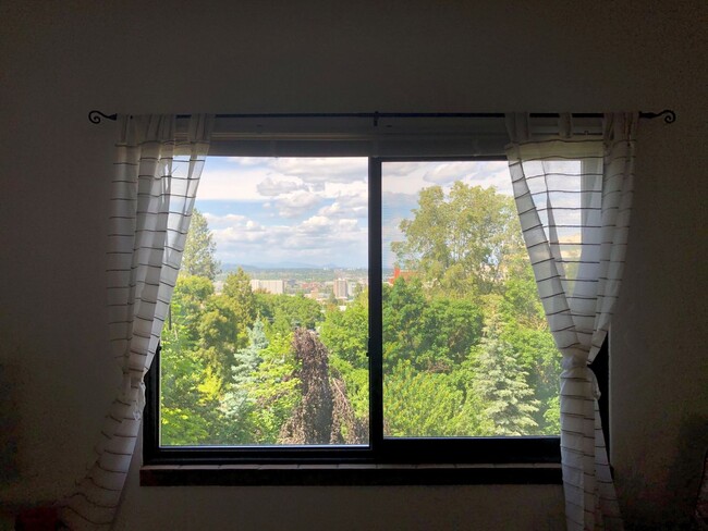 Building Photo - Two Bed One Bath with View