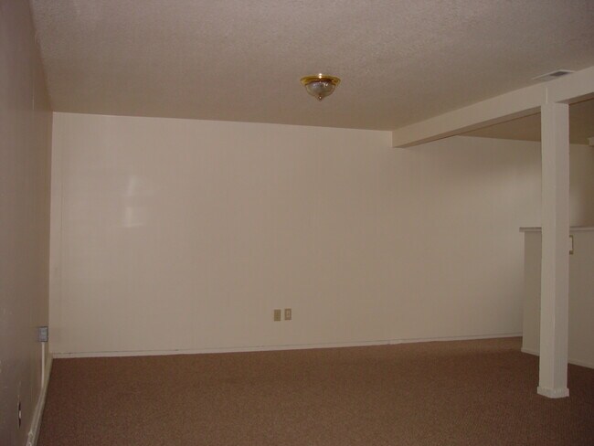 Finished Basement - 3310 Columbia St