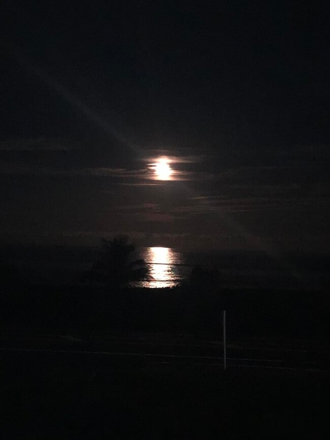 Building Photo - 5159 N Hwy A1A