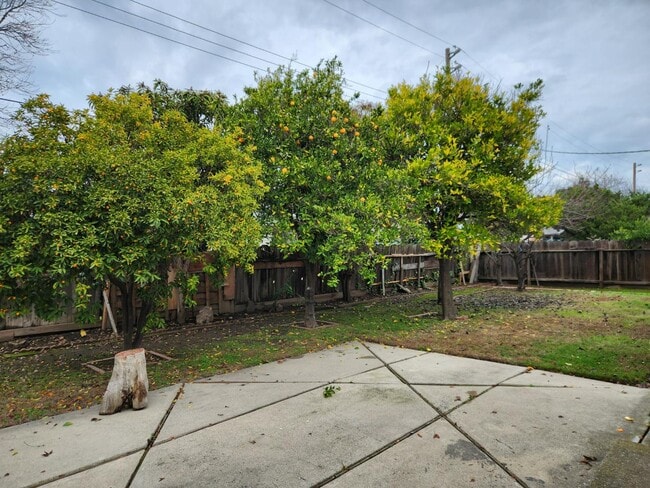 Building Photo - 427 Esperanza Way