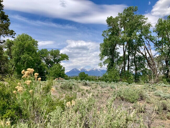 More views - 7750 County Road 111