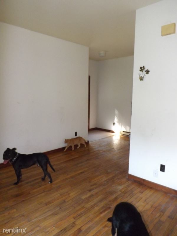 Building Photo - 1 br, 1 bath House - 172 German Hill Rd