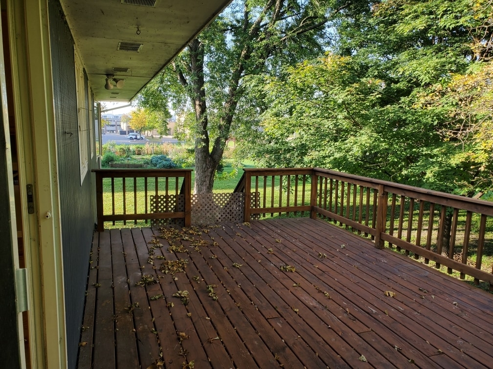 Building Photo - 2117 Fern Ln