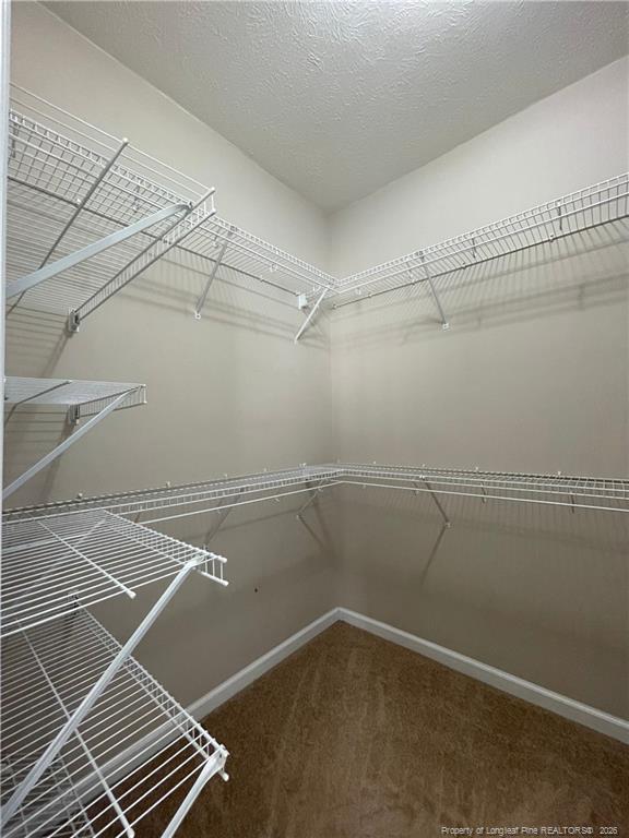 Building Photo - 8346 Judy Dr