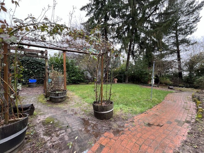 Building Photo - Vintage Urban Farmhouse 3 Bd 1 Bath home! Large bonus room & Balcony!  Surrounded by trees on lar...