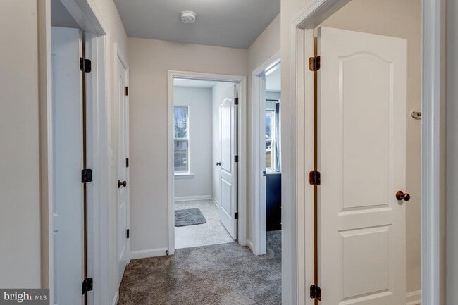 Building Photo - 9301 Cedar Forest Dr