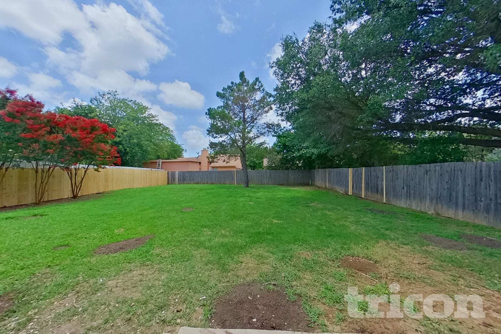 Building Photo - 3316 Forest Creek Dr