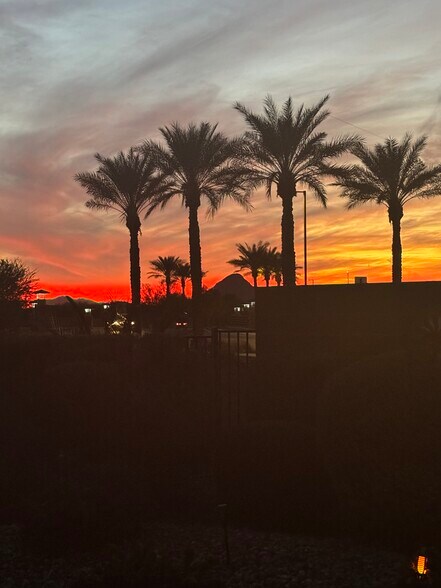 Sunset from backyard - 4518 N Petersburg Dr