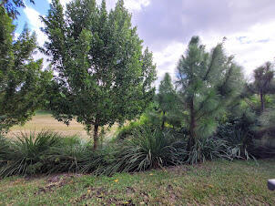 Building Photo - 6812 Pointe of Woods Dr