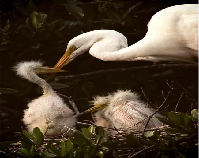 Building Photo - 4280 55th St