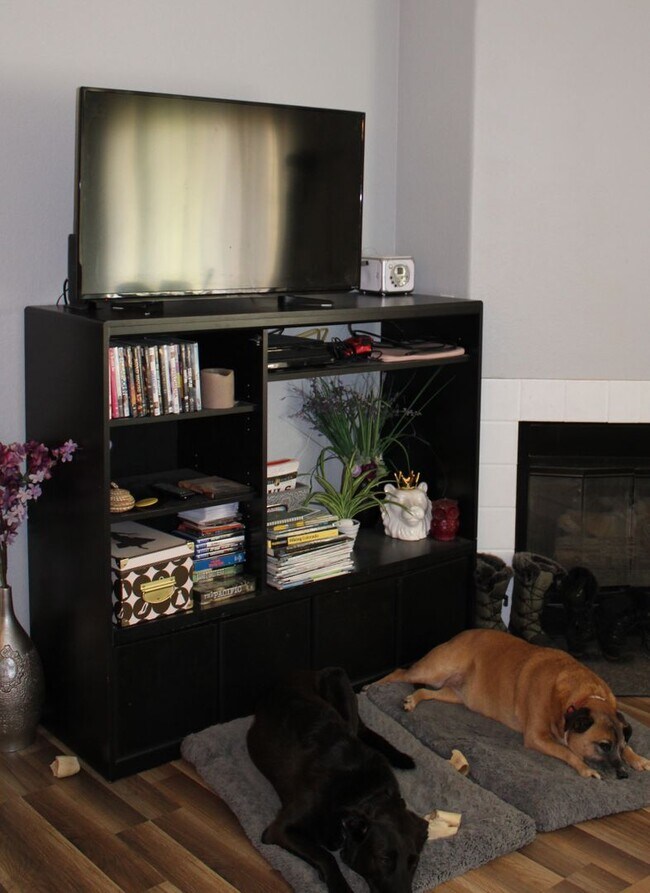 Building Photo - Beautiful 1 Bedroom Condo in Arvada.