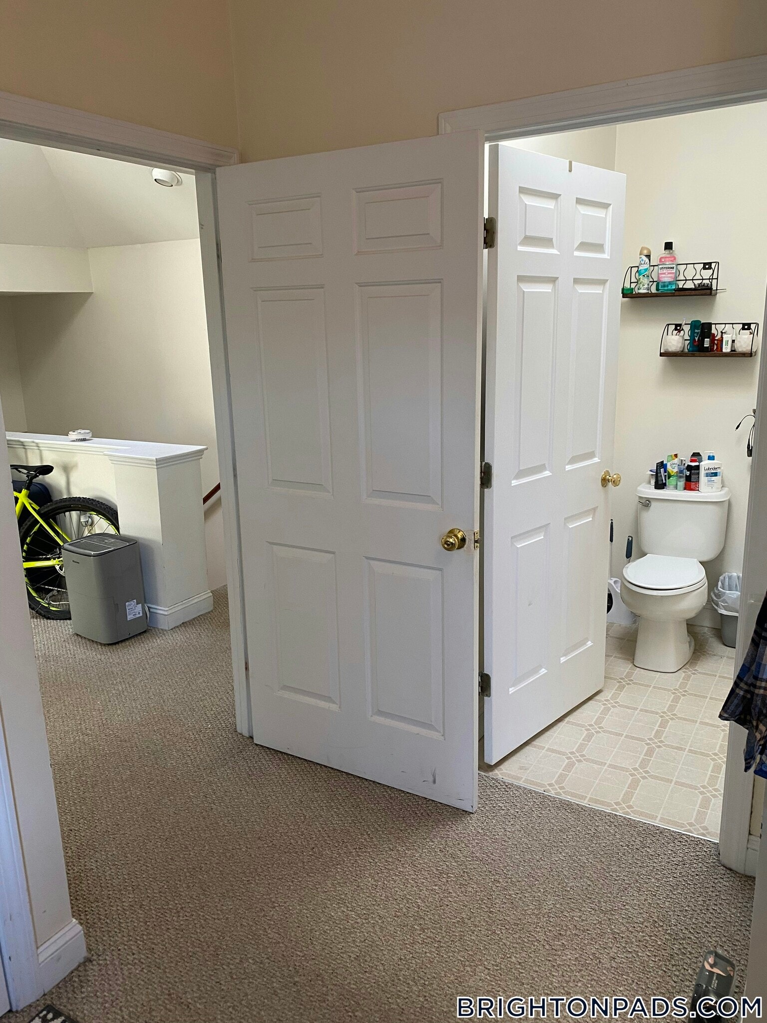 Building Photo - 8 Glencoe St