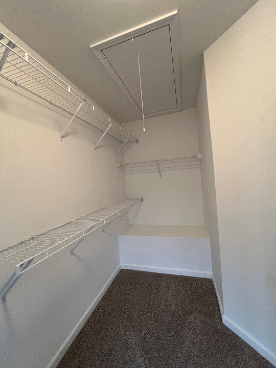 Building Photo - 570 Batty Way
