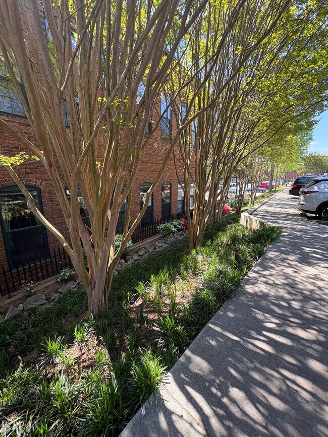 Building Photo - Lovely 2 Bedroom 2 full Bath Historical  Condo in Downtown Easley! Lawn Care and Trash Pickup inc...