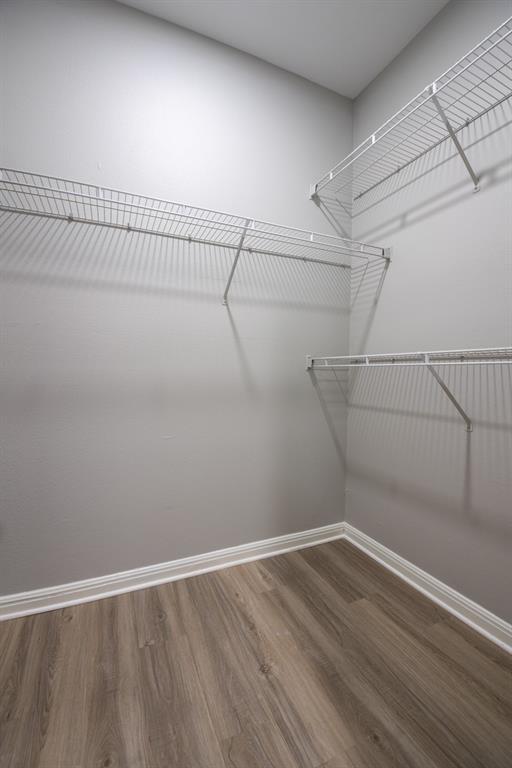 Building Photo - 2320 Gracy Farms Ln