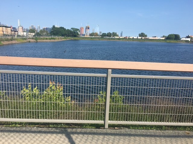 Building Photo - 311 Monastery Pl